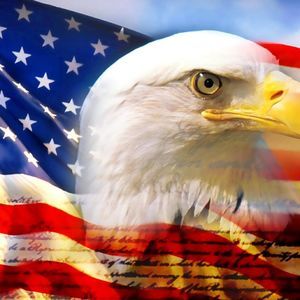 Meet your Posher, Phillip